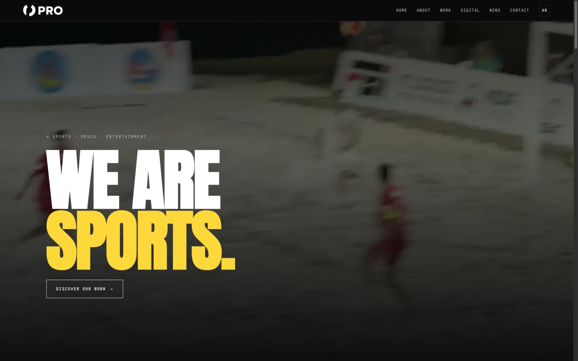 The PRO Company: the homepage